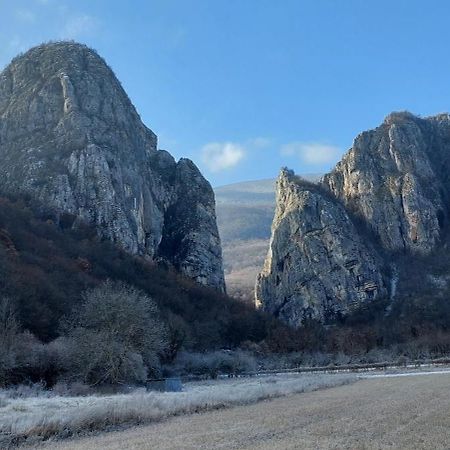 Golemi Kamik Pirot Vlasi 외부 사진